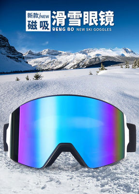Ski Goggles TPU Frame Dual PC Mirror Lens Great Cylinder Easy Change Lens